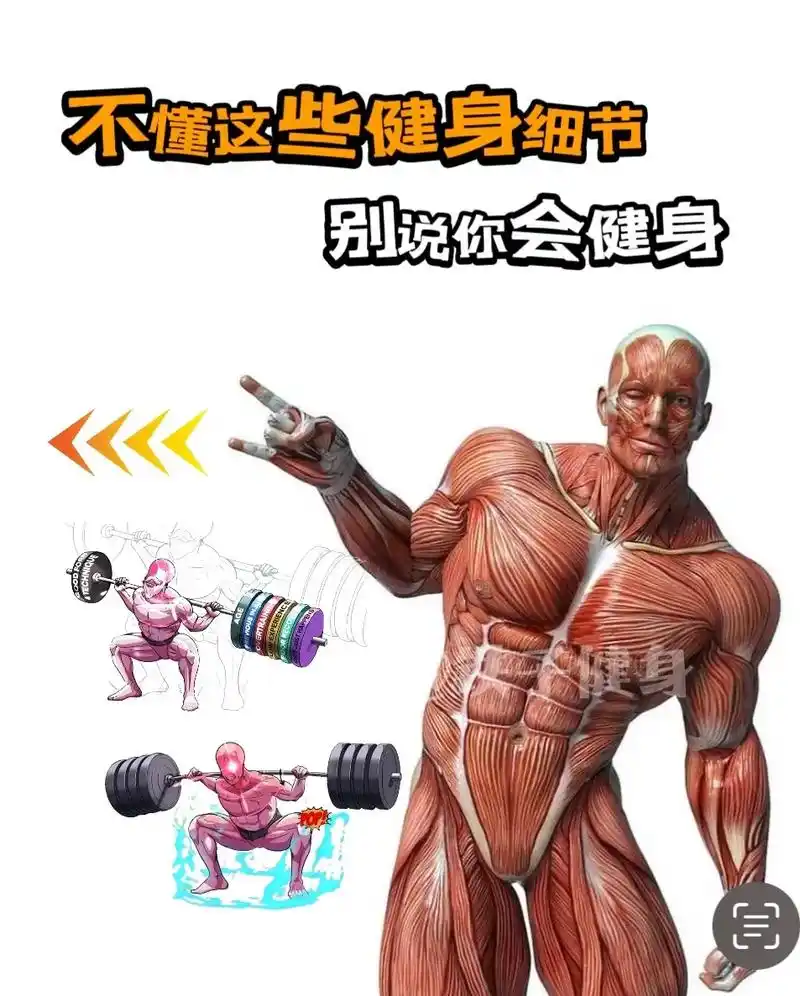 全程健身干货,带你少走弯路#健身 #健身干货 #健身小白必看 - 抖音