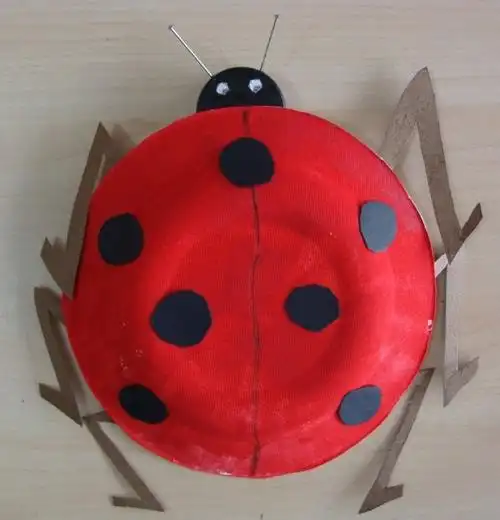 简单手工 孙烨小朋友的小斑点鱼纸盘画作品            年龄:12岁