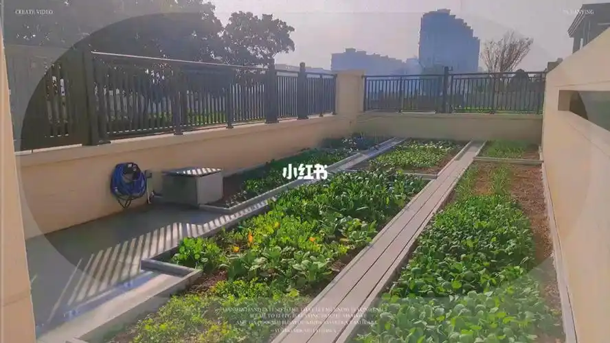 中上一片小菜地,开启有机新生活#装修记录  #庭院设计  #装修设计