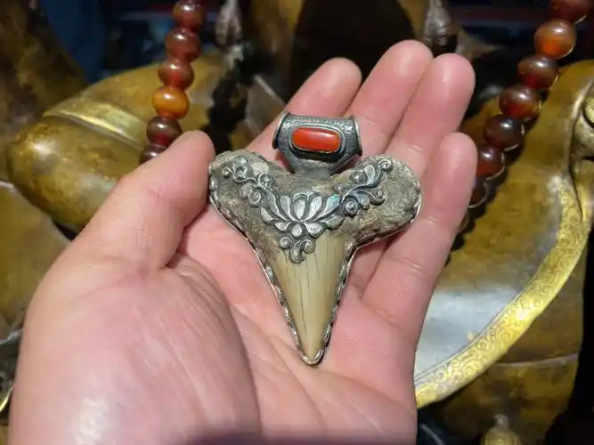 鲨鱼牙齿07吊坠