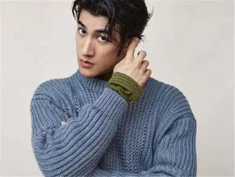 娱乐圈里5位有着"长脸"却很耐看的男明星,第一不是王力宏?