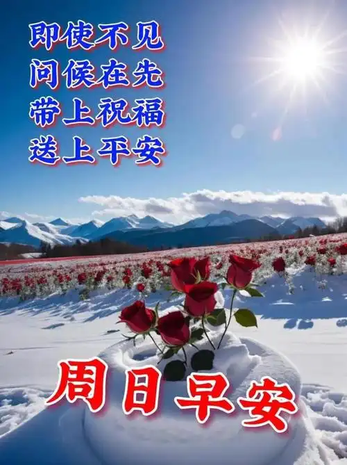 11月19日周日早上好最新精选早上好漂亮图片祝福早安吉祥安康