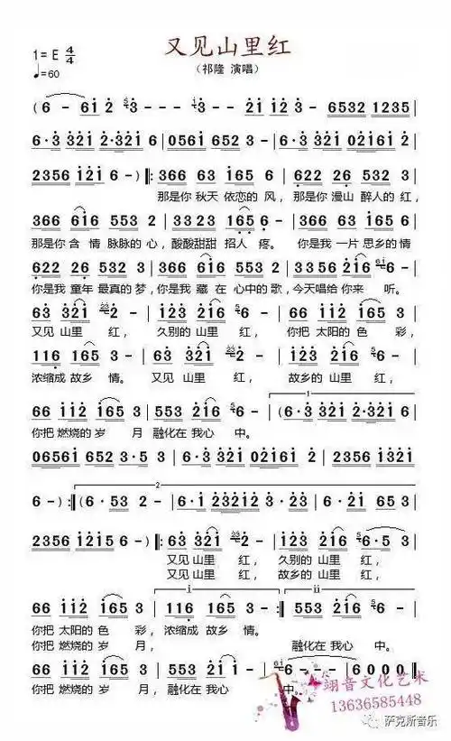 又见山里红悠扬美妙醉人心扉萨克斯唯美音乐