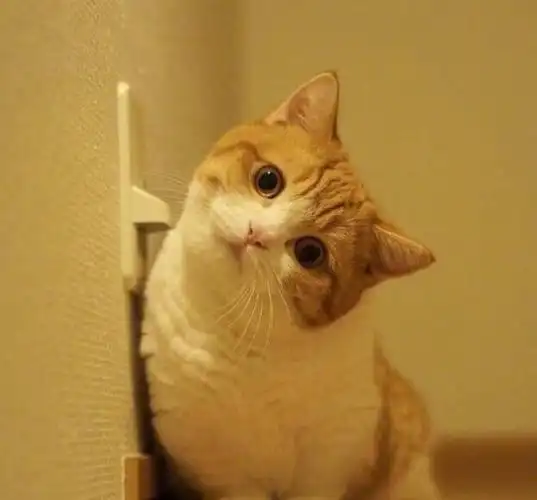 最苏不过歪头杀,朱一龙,张艺兴,易烊千玺谁的歪头杀瞬间撩到你