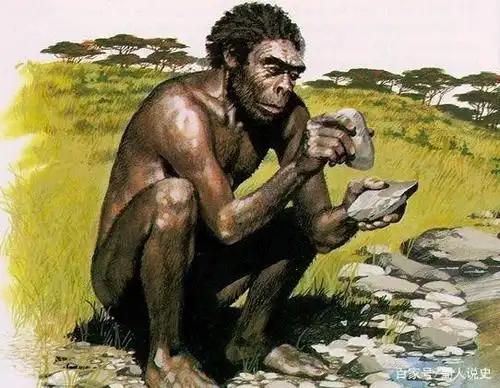 从森林古猿到现代人类