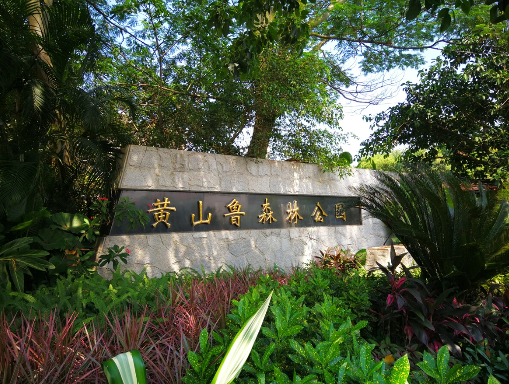 在广州想爬山看海还想赏湖,那只能去黄山鲁森林公园了,还免费!