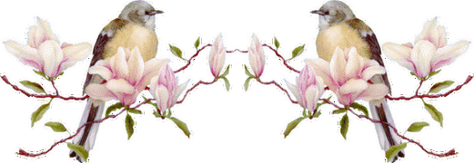 550_190gif 动态图 动图