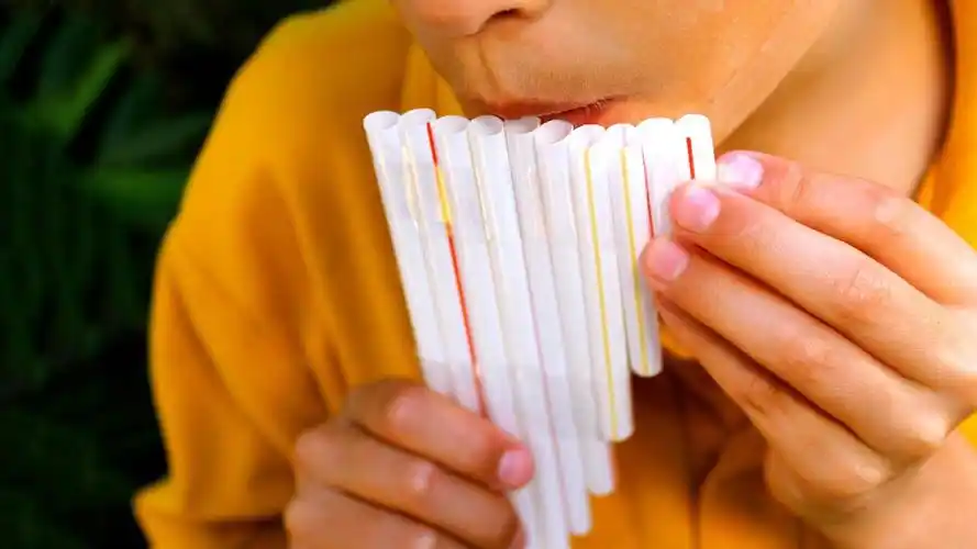 外国小男孩用吸管制作乐器,这样的乐器能吹响吗?-生活视频-搜狐视频