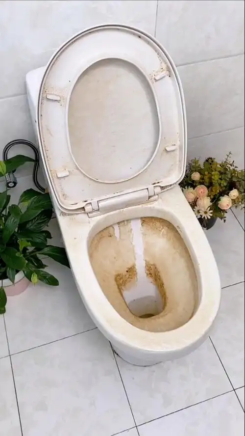 生活小妙招#卫生间马桶常年污垢用这个方法轻松解决