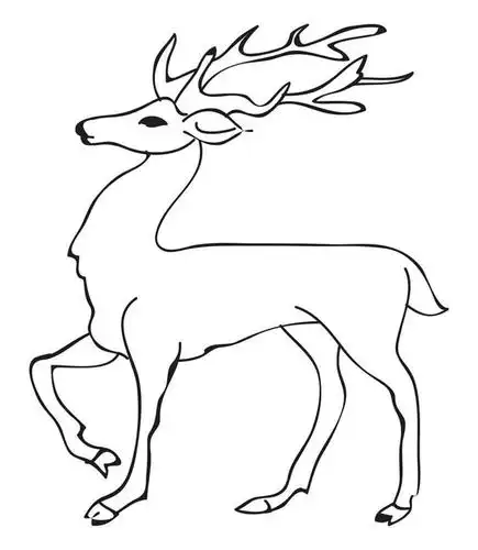 特写,白天,白色背景,侧面,数码,科技,野生动物,羊,阴影,网络,羚羊