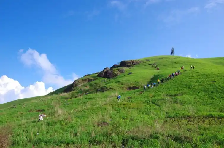 云雾武功山 秀美高山草甸