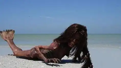 日本活吃美人鱼图片是真的吗 美人鱼真的存在吗这些证据被掩藏_深圳