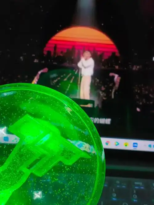 未来的某一天我一定会成为绿海中的一个#黄明昊  #黄明昊演唱会