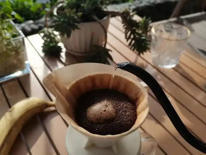 细胞壁膨胀膨松,可以托住咖啡水的重量,油脂香气都会显现.