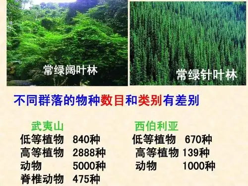 一轮复习之群落结构和群落演替课课件答案ppt