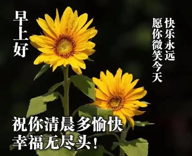 2020夏天最新版祝福表情图片带字愿你有一个美好的五月