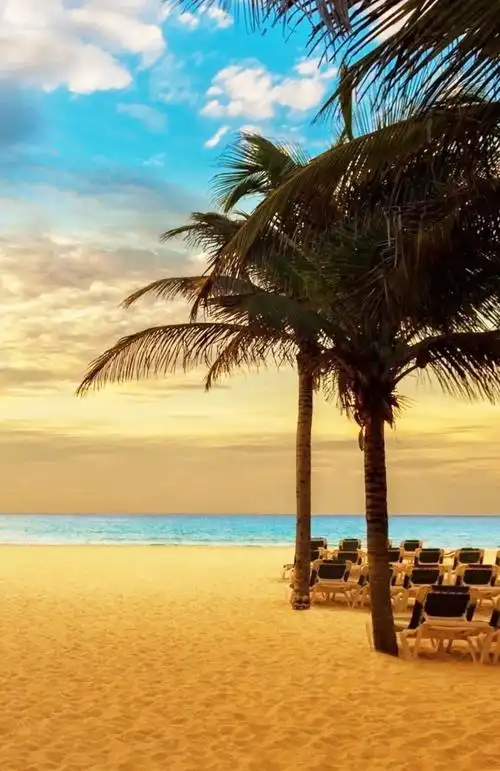 对海的向往是那么热切对于深居内陆的人来说阳光,沙滩,碧水迎面的风撞