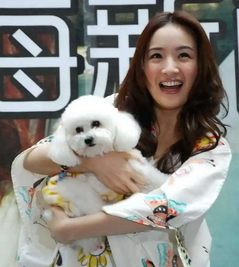 林依晨真是图啥啊,好好的大明星干了保姆的工作,需要每天六点半早起请