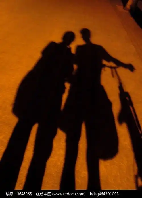 路灯下哥俩和自行车的影子