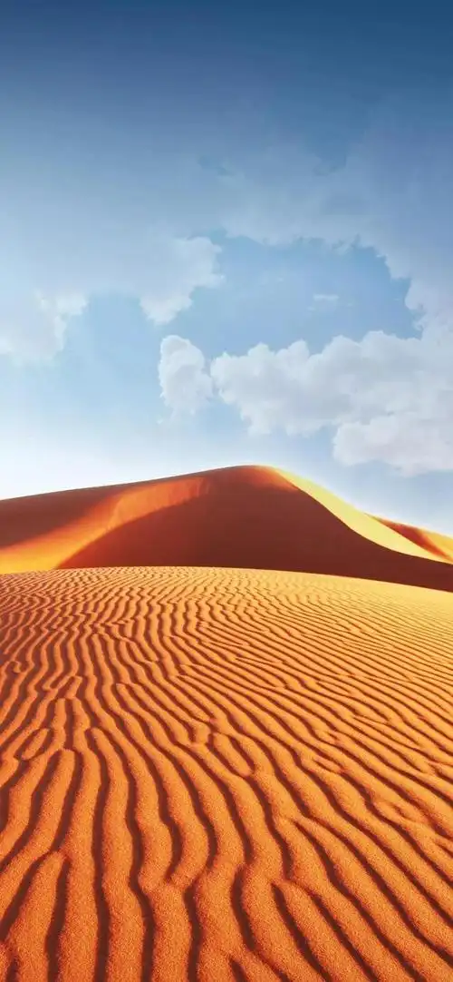 (高清全面屏壁纸)