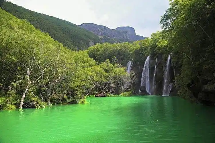 长白山神秘禁区有哪些长白山715事件棒槌鸟叫催人命
