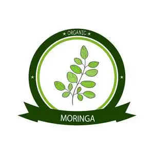 莫林加植物.徽标,徽标,符号,符号,贴纸照片