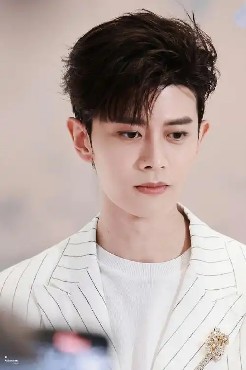 任嘉伦##rogervivier品牌代言人任嘉伦