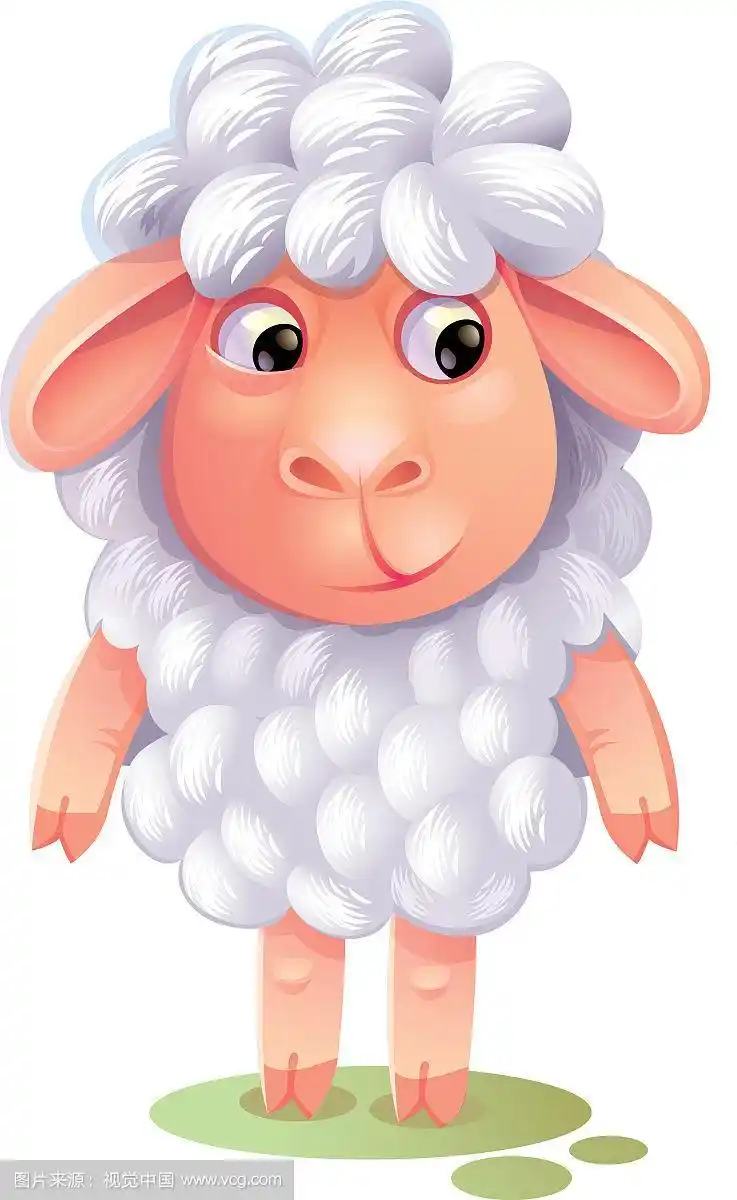 卡通绵羊可爱的小羊孤立在白色