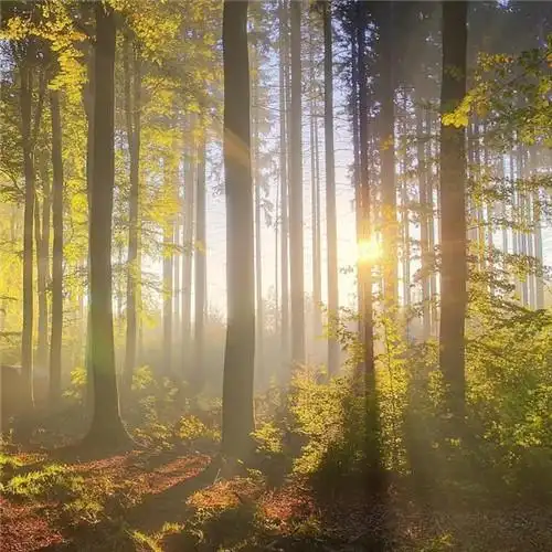 适合一辈子风景头像图片 高清值得一辈子不换的头像风景_风景微信头像