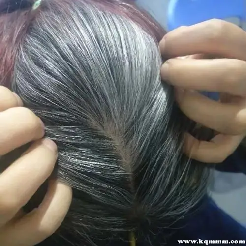 墨旱莲怎样使用白发变黑发墨旱莲治白发配方