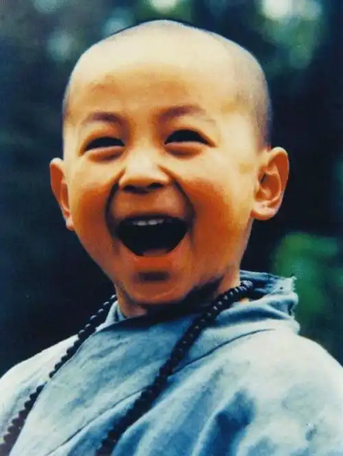 1993年8月,释小龙与台湾歌星林志颖合拍了第一部影片《旋风小子》.