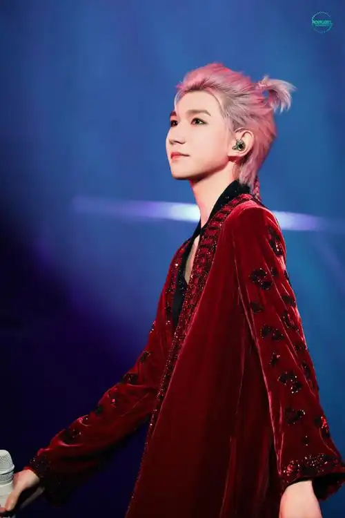 王源2024龙行绛气