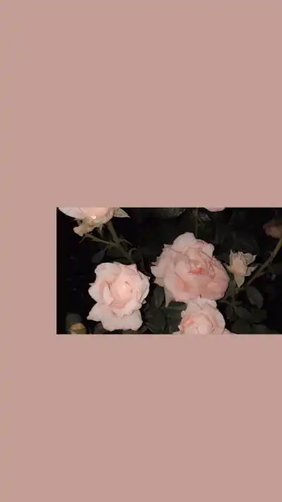 自调壁纸锁屏ins背景朋友圈莫兰迪粉色简约素材少女心温柔拼接滤镜