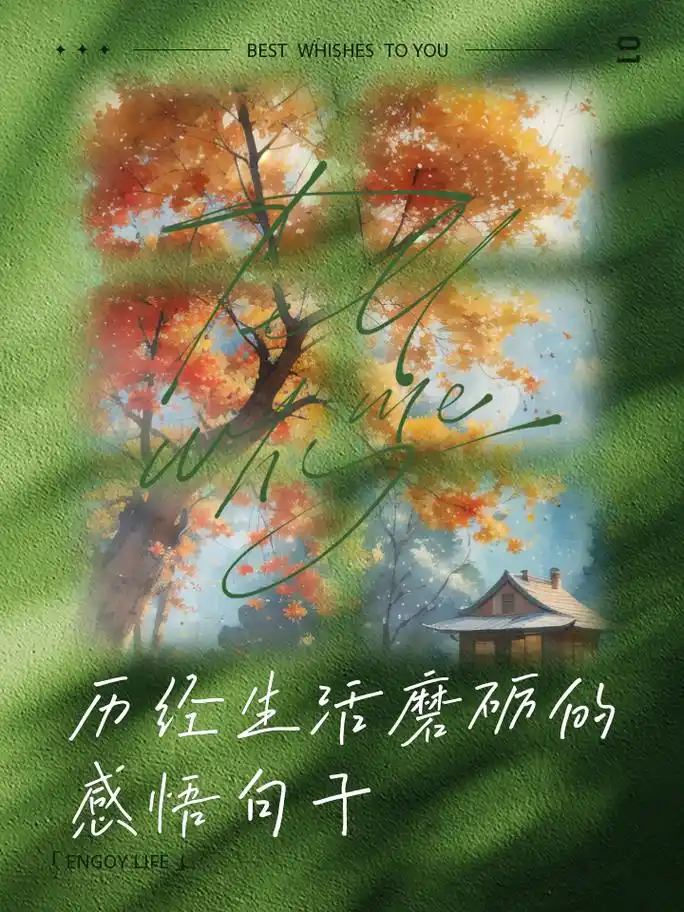 那些激情燃烧的岁月,如今都安在否 2,我们历经生活