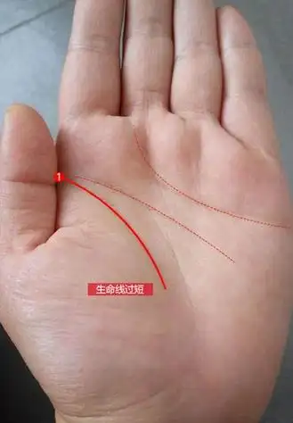 手相生命线横短线 生命线的横纹