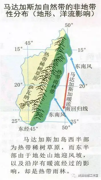 16,马达加斯加东西两岸气候差异的成因?