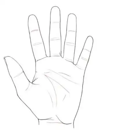 不会画手一定要看!手控福利!超详细手部画法技巧.