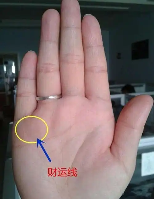 五行命相生_手相图解大全女事业线_女手相生命线图解大全