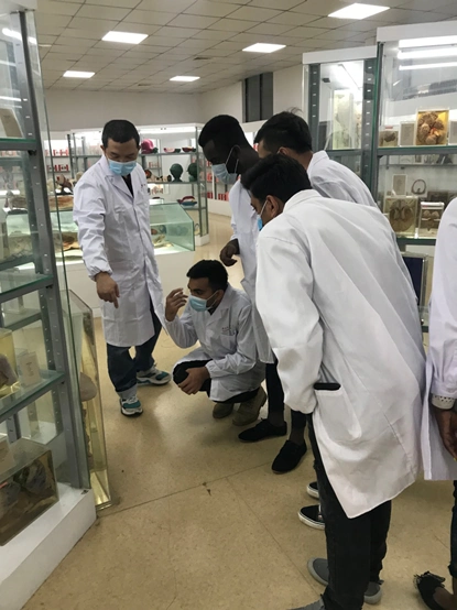 走进人体标本馆探索生命科学