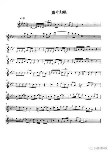 王力宏:落叶归根 小提琴曲谱