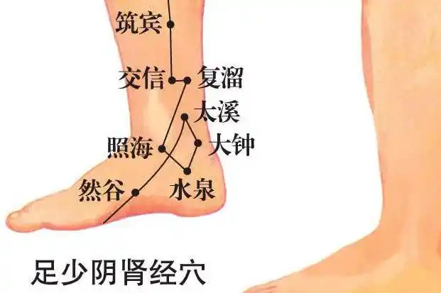 踮脚尖还能补肾你不知道的三个好处