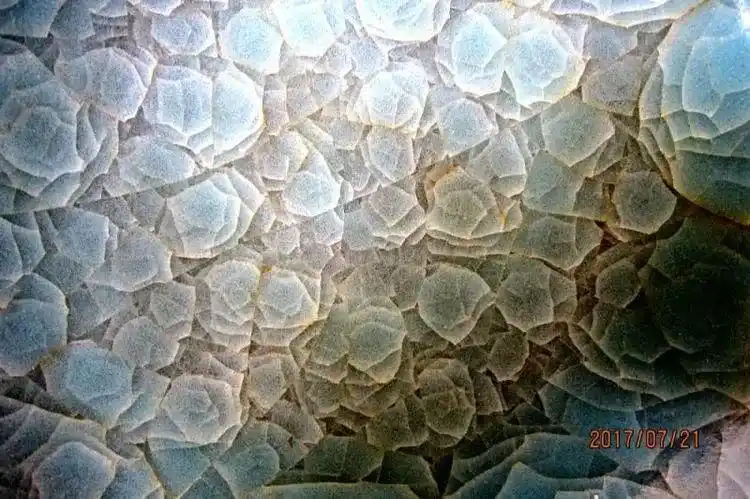 北宋官窑梅花冰片微观雅赏