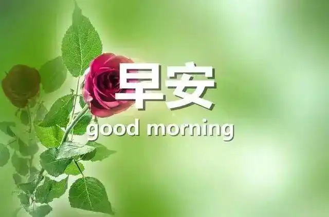 新的一天精美早安心语早安问候语图片大全