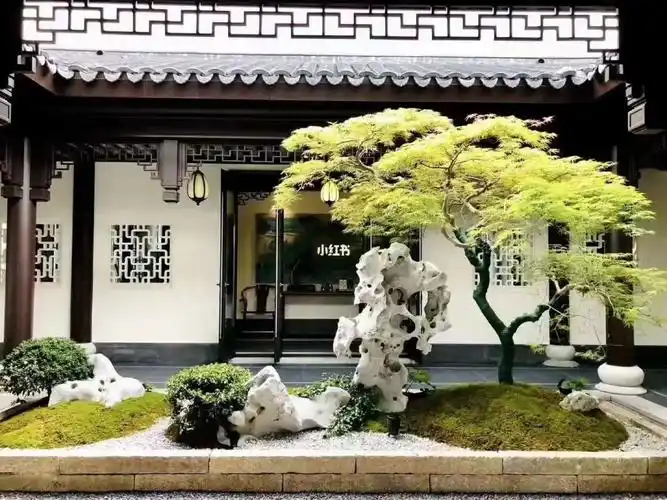 太阳太湖石造景很文艺的院子