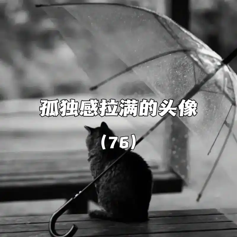 "一个人挺好,无非就是自由中带点孤独" #优质头像 #图文 - 抖音