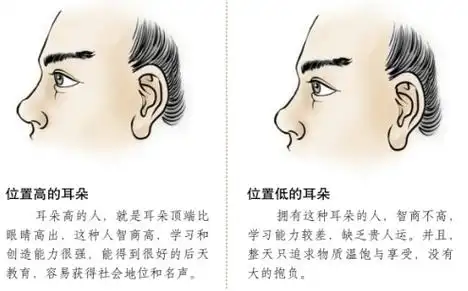 为何说看福在耳 如何从耳朵面相看命运?