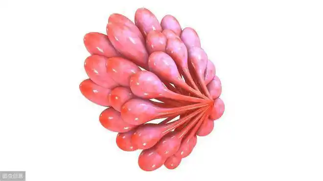 每个被"乳腺增生"吓过的人,中医王泽民说可从5点来预防_乳房_女性