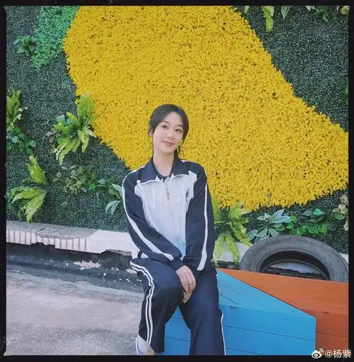 《要久久爱》大结局,杨紫发情真意切小作文,网友称赞其文笔佳