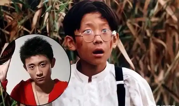 你还记得《家有儿女》的夏雨夏雪刘星吗?