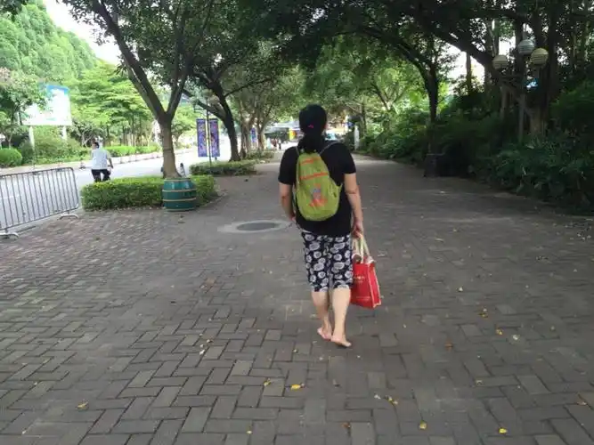 14:30,清晨长隆景区游,赤脚行走够自由,白虎自助餐厅叹,珍稀动物观赏